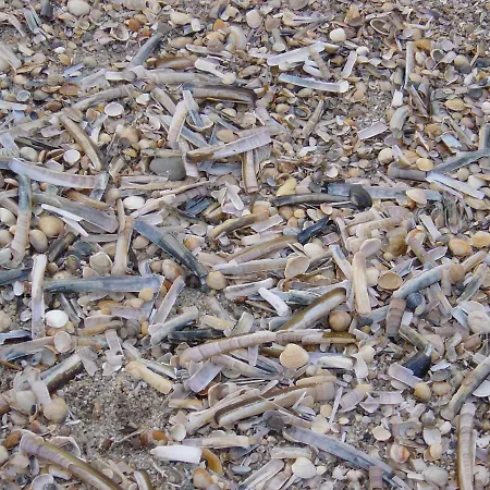 Haus Nordseeresidenz 77 *